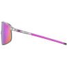 Density Crist-Rose-SP3 MLROSE