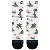 Kool Katz Surf Crew