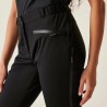 Assert Trouser