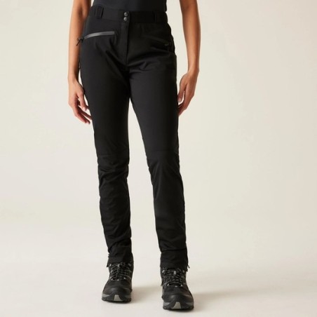 Assert Trouser