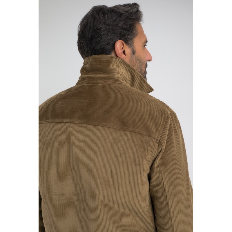 Veste homme Classic Selanic Polo BENSON & CHERRY