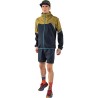 Veste rando homme Alpine GTX M Jkt DYNAFIT
