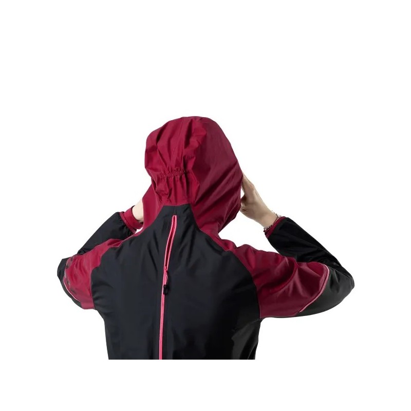 Veste rando femme Alpine GTX W Jkt DYNAFIT