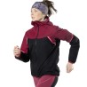 Veste rando femme Alpine GTX W Jkt DYNAFIT
