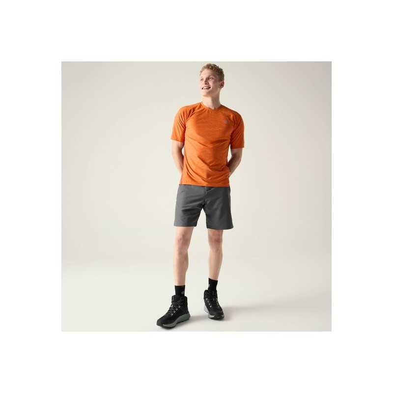 DARE2B Torrek II Short | Shorts Trail Homme