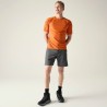 DARE2B Torrek II Short | Shorts Trail Homme