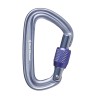 BLACK DIAMOND Liteforge Screwgate Carabiner | Mousquetons