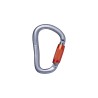 BLACK DIAMOND Rocklock Twistlock Carabiner | Mousqueton escalade