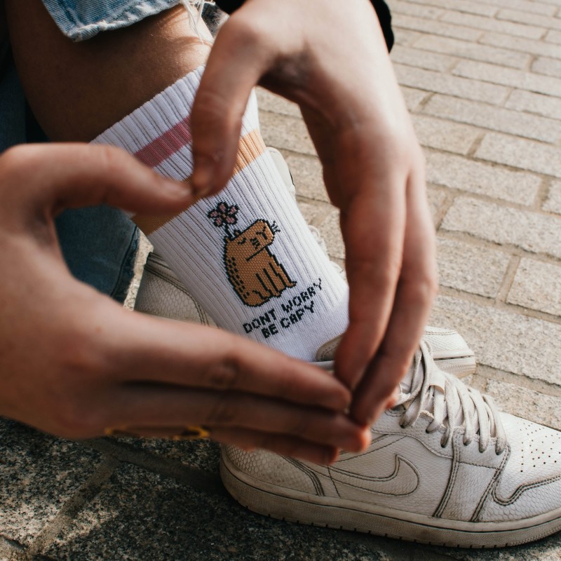 AMERICAN SOCKS Be Capy | Chaussettes lifestyle