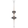 Ripstick R4 W + EL 10.0 GW | Skis alpin femme