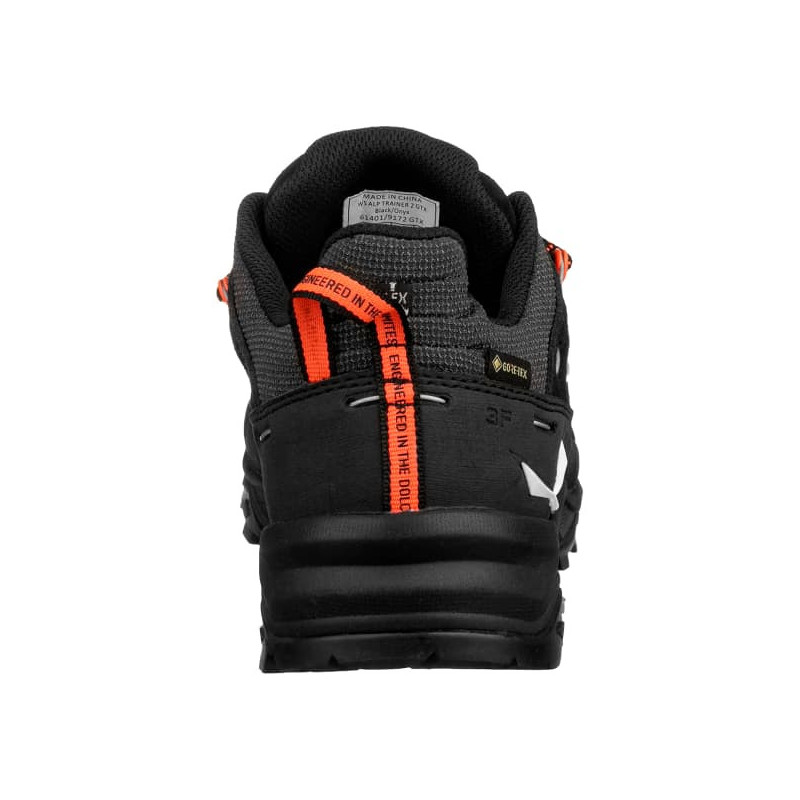 Alp Trainer 2 GTX W