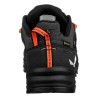 Alp Trainer 2 GTX W