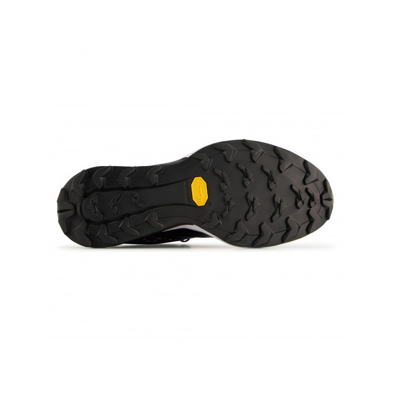 Alpine DNA W