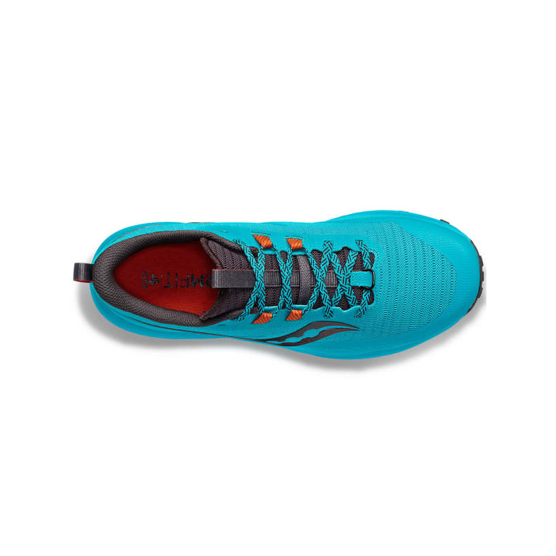 Peregrine 13