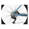 E-Bike E-RAMBLER E-9.0