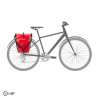 Back Roller Classic QL2.1